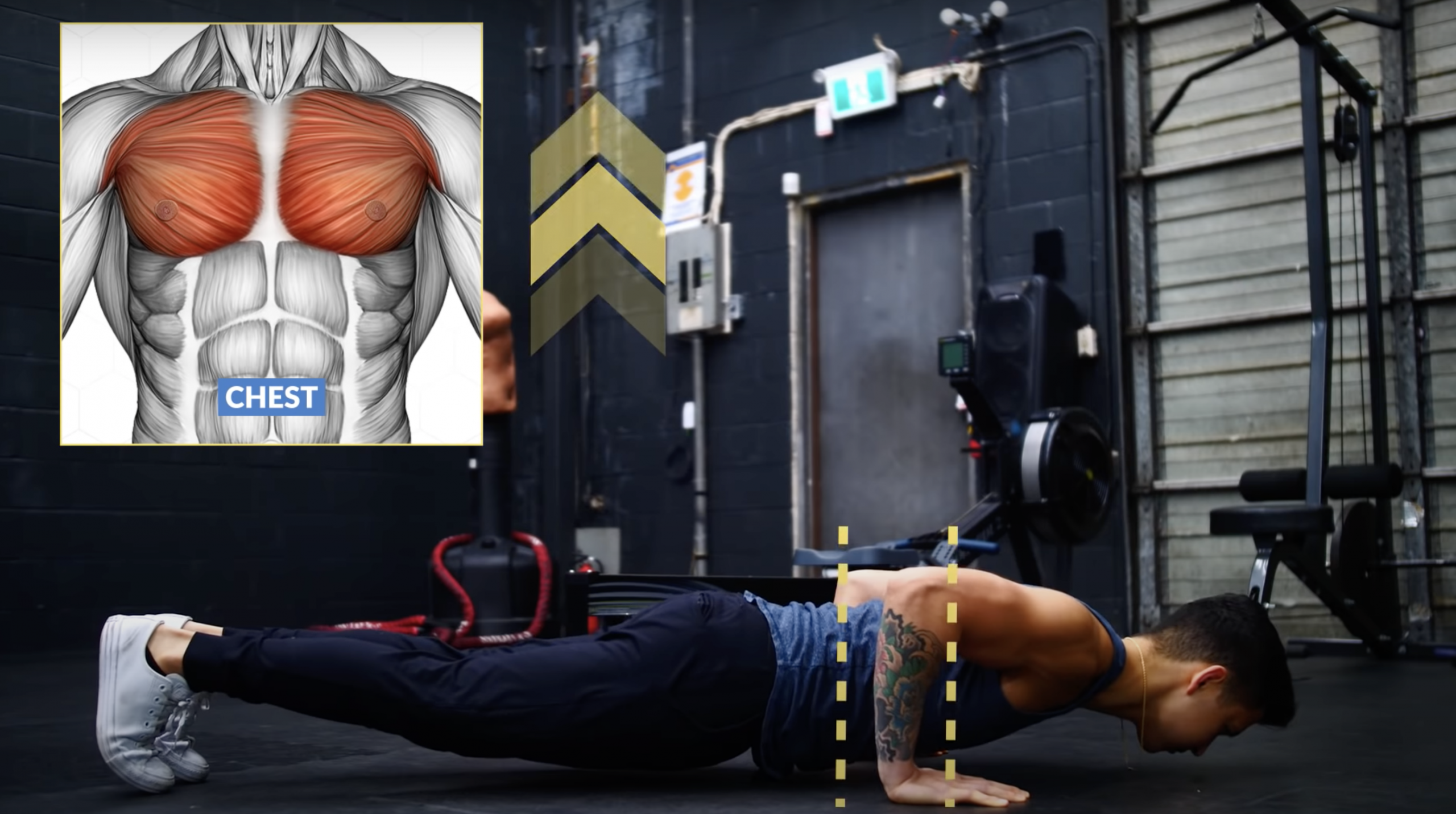 comment faire des pompes pectoraux trajectoire comment faire des pompes pectoraux trajectoire