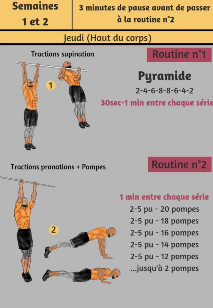 programme calistenics pdf