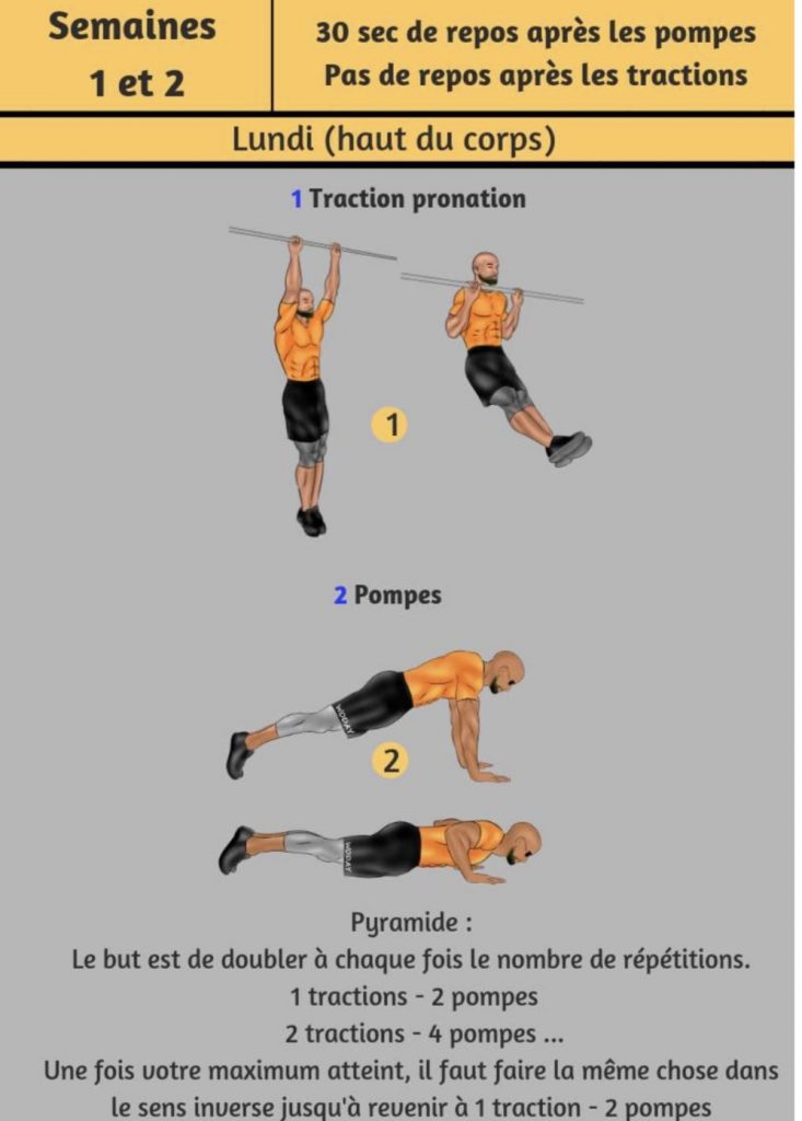 programme calisthenics pdf