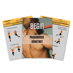 programme calisthenics débutant gratuit