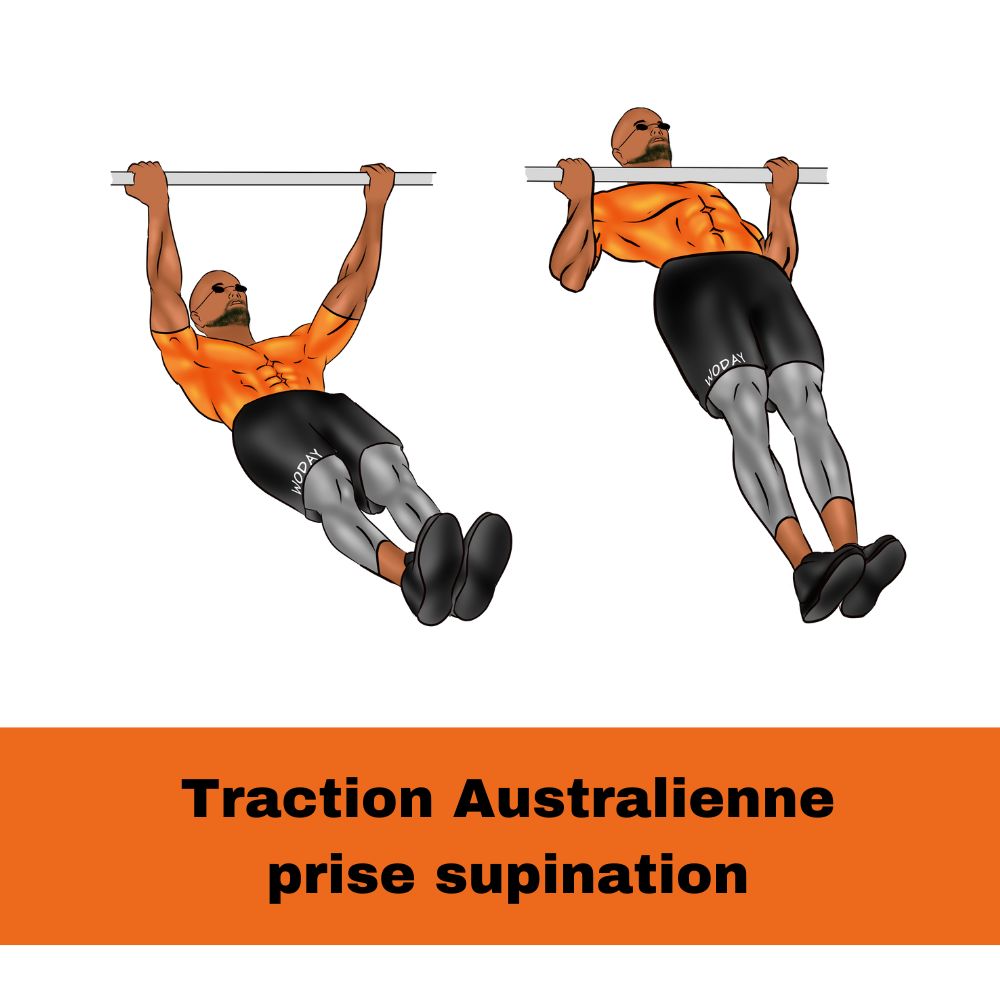 Traction Australienne prise supination