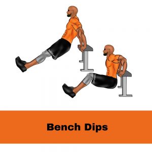 bench dips